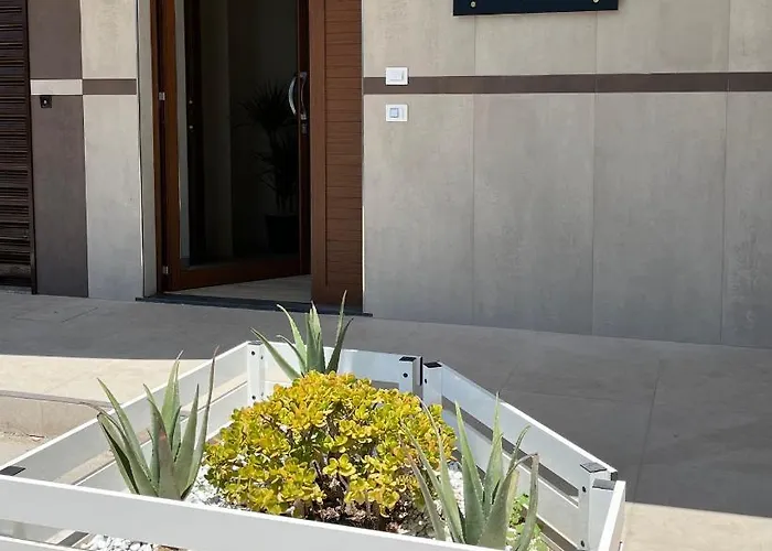 Alojamento de Acomodação e Pequeno-almoço Moma